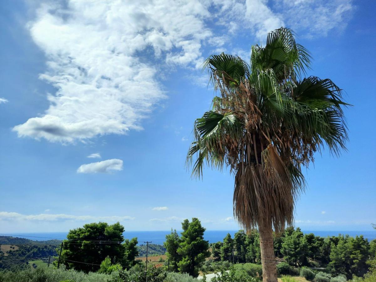 فيلا House With View أغيا باراسكيفي المظهر الخارجي الصورة